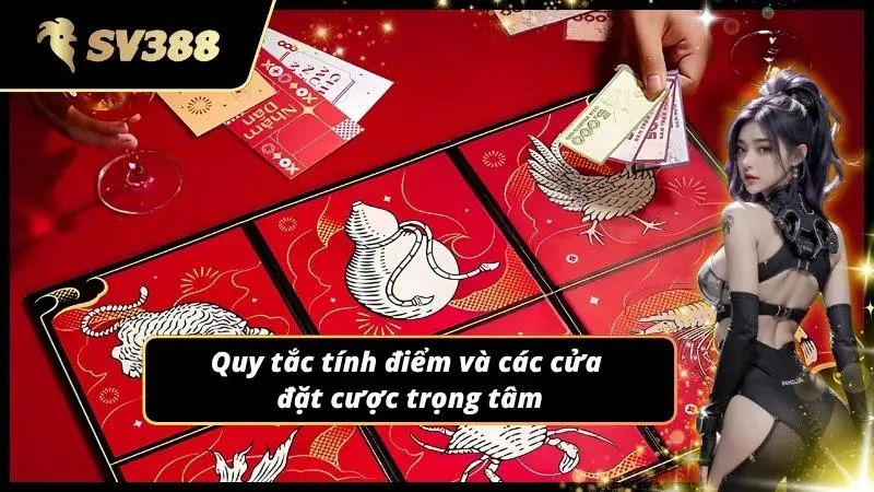 Cách tính điểm cũng như những bước đi đặt cược an toàn