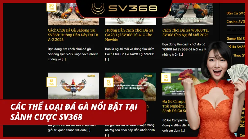 Nhiều hình thức thi đấu giúp trải nghiệm không bị nhàm chán