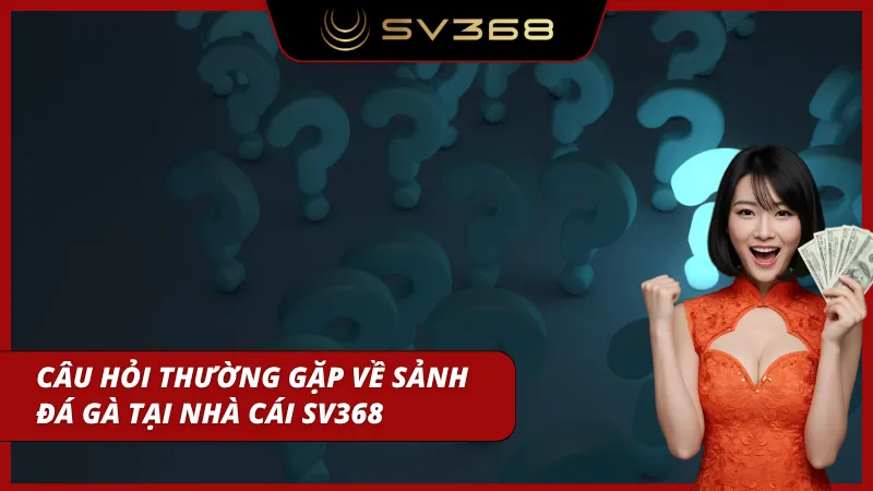 Khách chơi tra cứu thông tin trước khi tham gia theo cược
