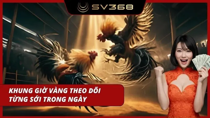 Một số khung giờ có mật độ trận diễn ra nhiều và chất lượng hơn