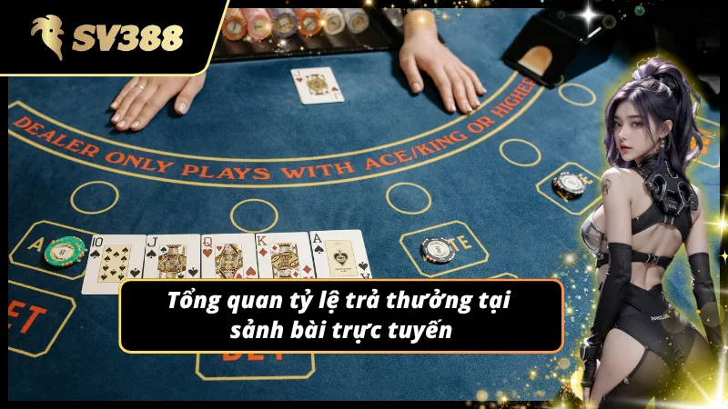 Dữ liệu thống kê giúp người chơi dễ so sánh hiệu suất cược