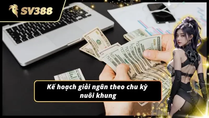Thiết lập tỷ lệ rót vốn theo mô hình ba ngày để bảo vệ an toàn cho tài sản